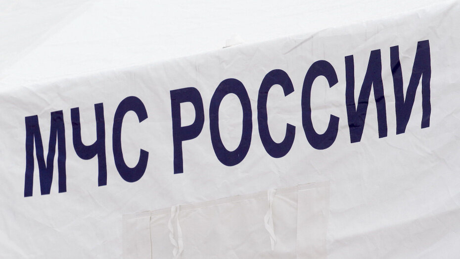    Автор фото: Евгения Емельянова (из архива)