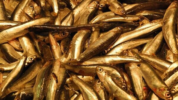    © Photo : Pixabay / Freddy Amend