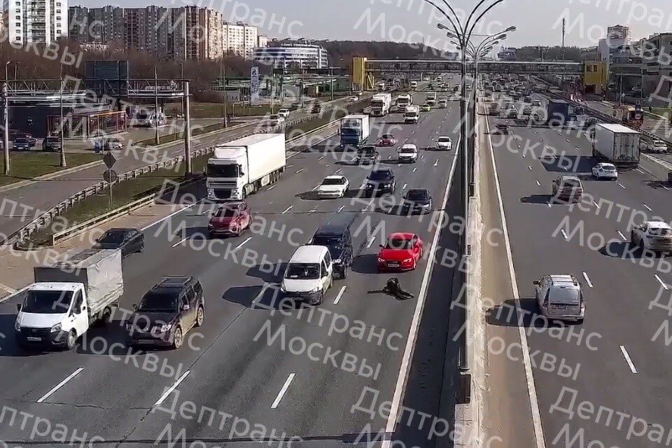     Пешеход попал под колеса легковушки на внутренней стороне 43-го км МКАД Фото: стоп-кадр из видео