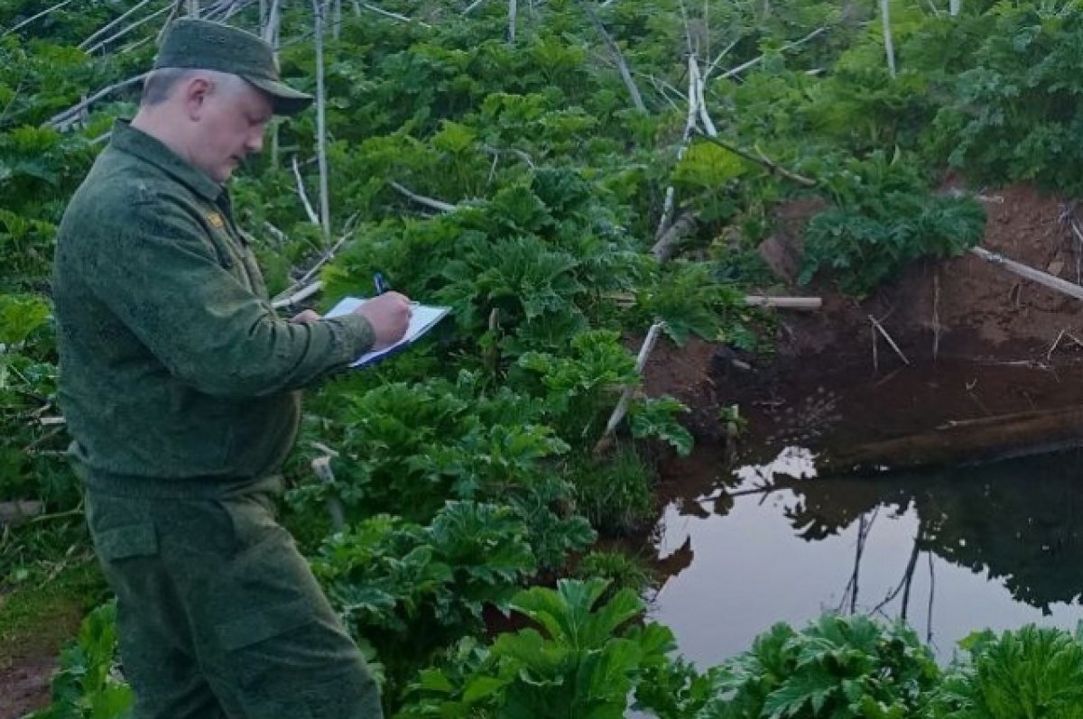    В Пермском крае 5-летний мальчик утонул во время купания в водоёме