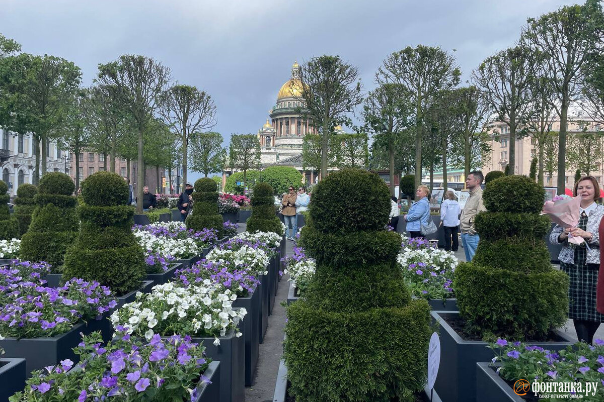 некрасовский сад в санкт петербурге