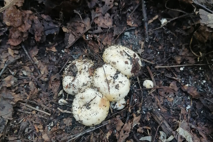    Фото Кристины Теленковой