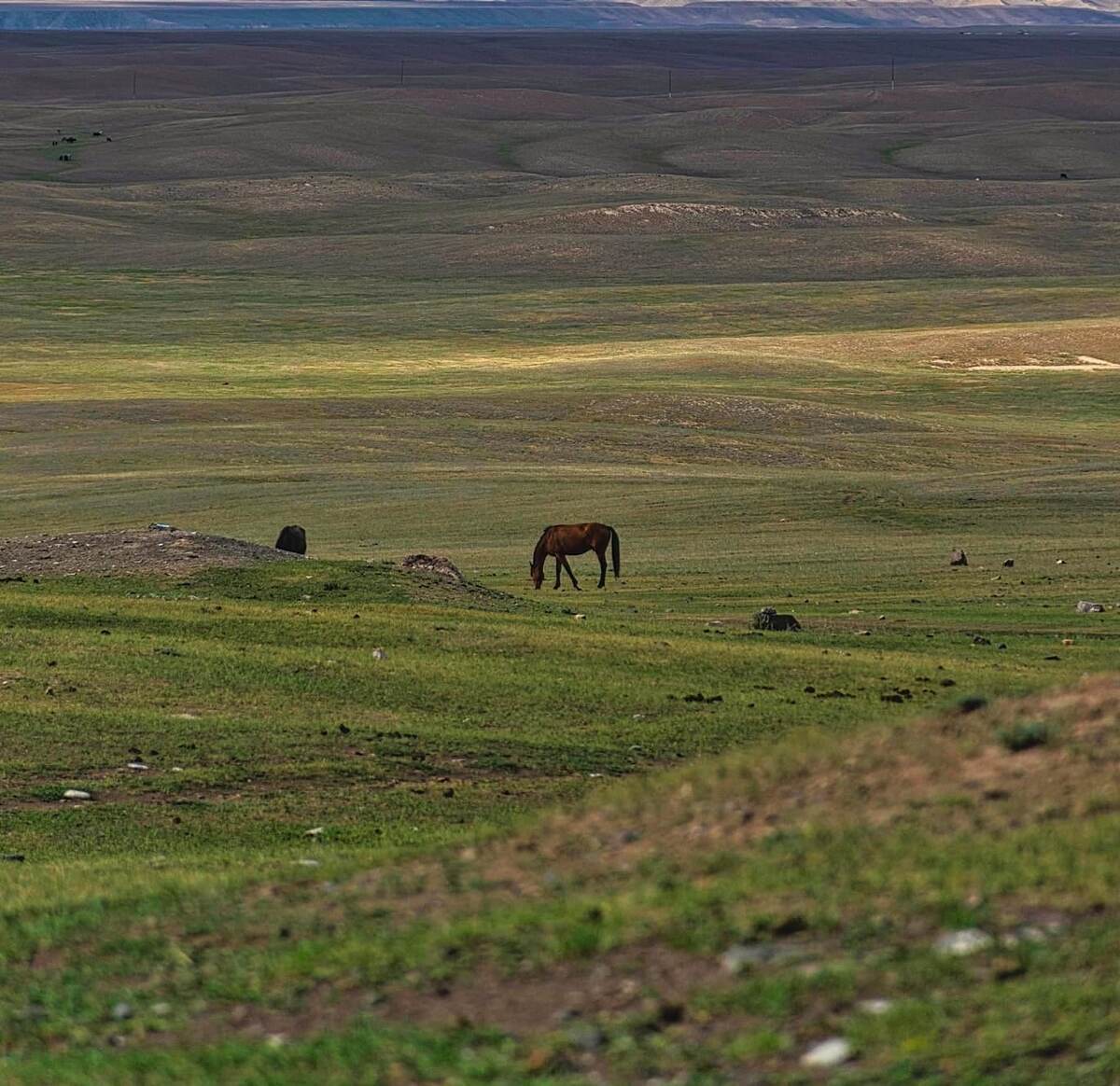 картинка из интернета