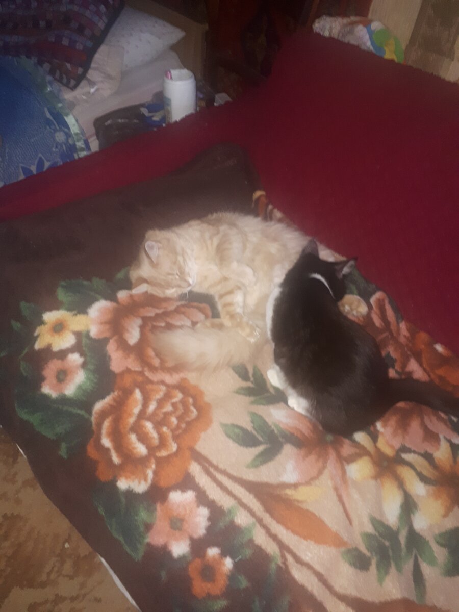 Из личного архива