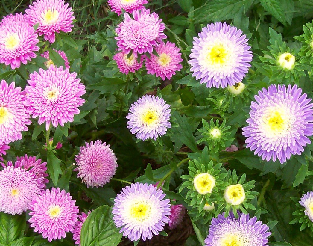 Ставьте "лайки" и подписывайтесь на мой канал!