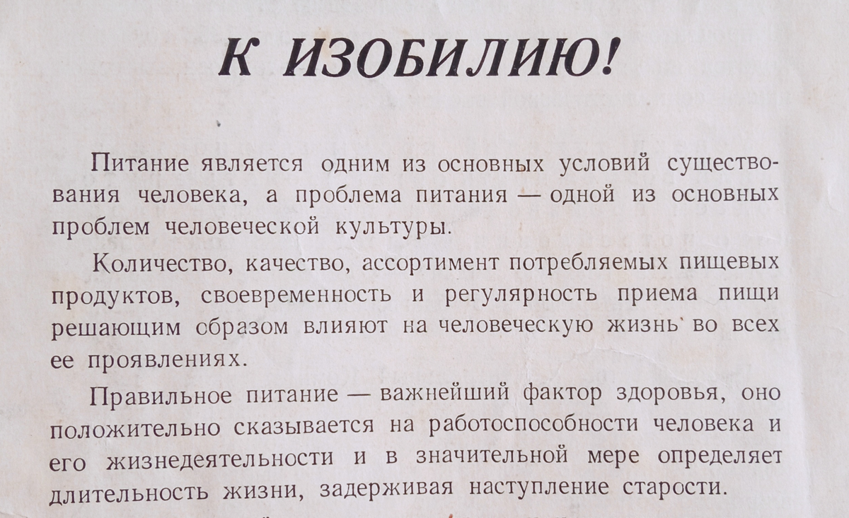 отрывок из книги о вкусной и здоровой пище, сделанный автором