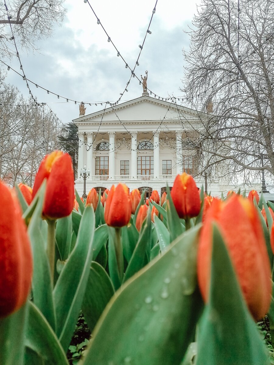 Театр Луначарского в цветах. Севастополь, фото автора
