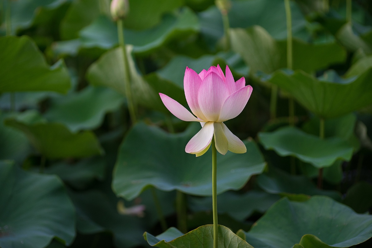 Источник Unsplash.com