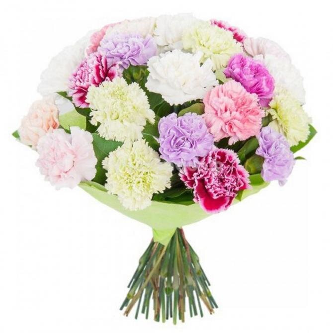 пышный букет из гвоздик