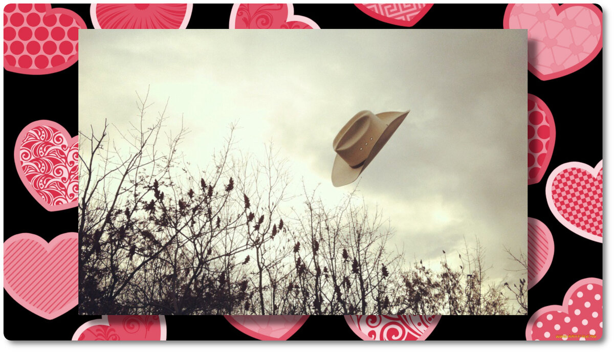 Это не шляпу сдуло. Это у меня крыша поехала. От счастья!