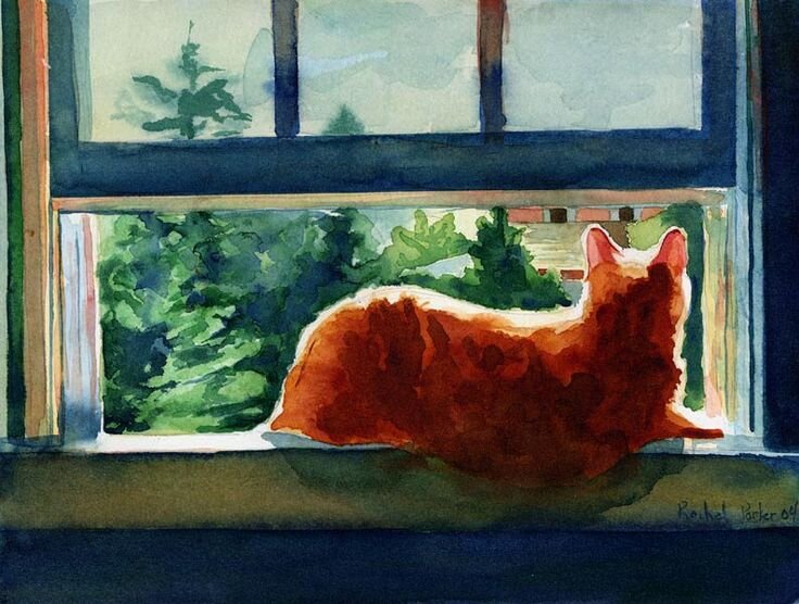 Яндекс картинки