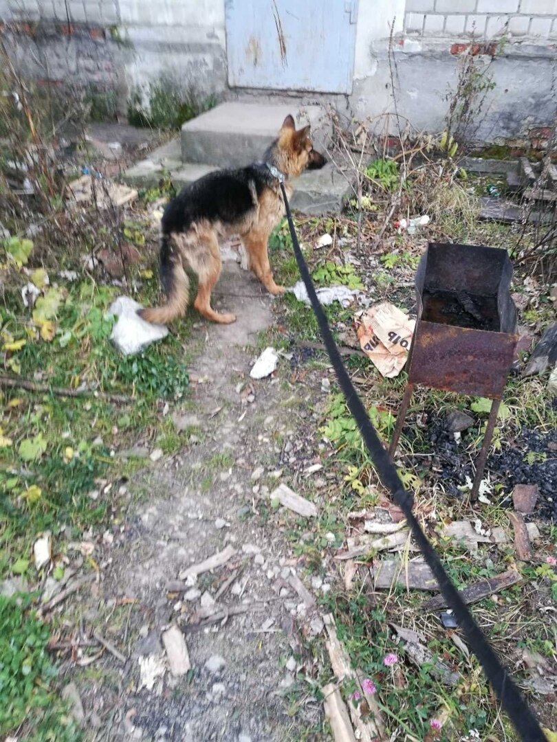 по дороге девочку тошнило. пришлось останавливаться