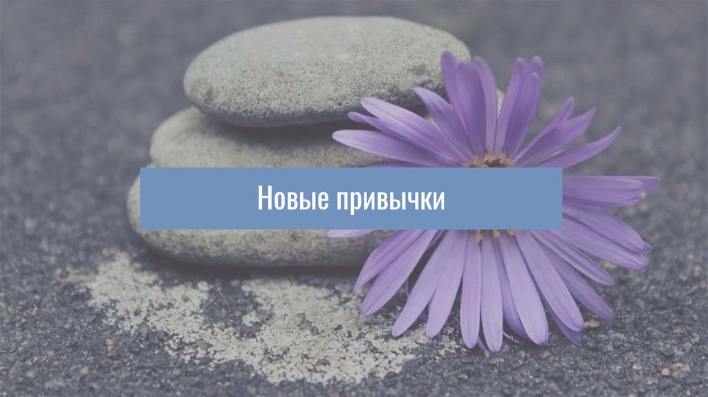 Картинка с бесплатных источников 