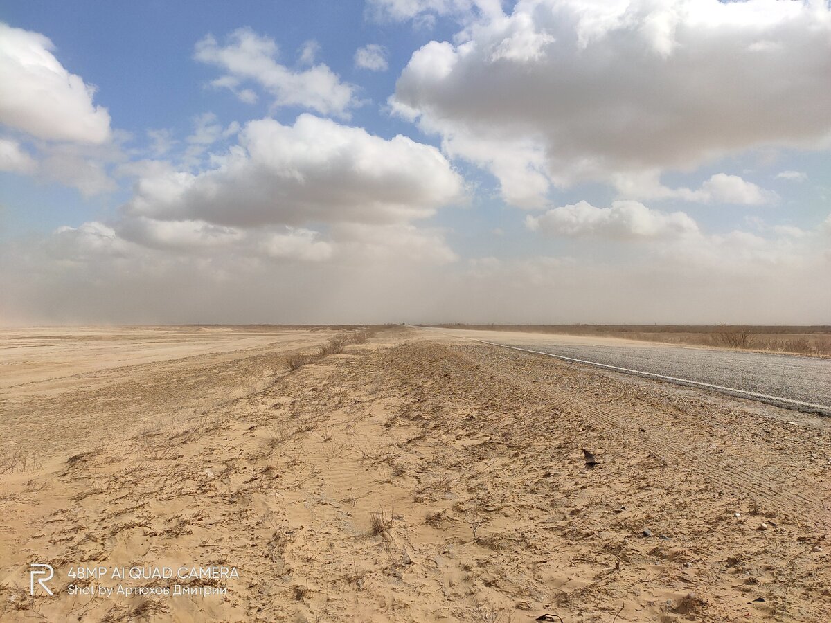 Черноземельский район Калмыкии. Фото Артюхов Д.