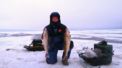 Рыбалка. Поклевка - ОТДАЙ УДОЧКУ! Как и на что ловят Судака зимой ...