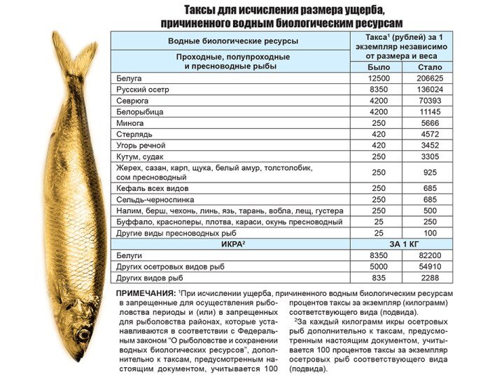 Нас лишили нормальной рыбалки и отдыха с новыми запретами.