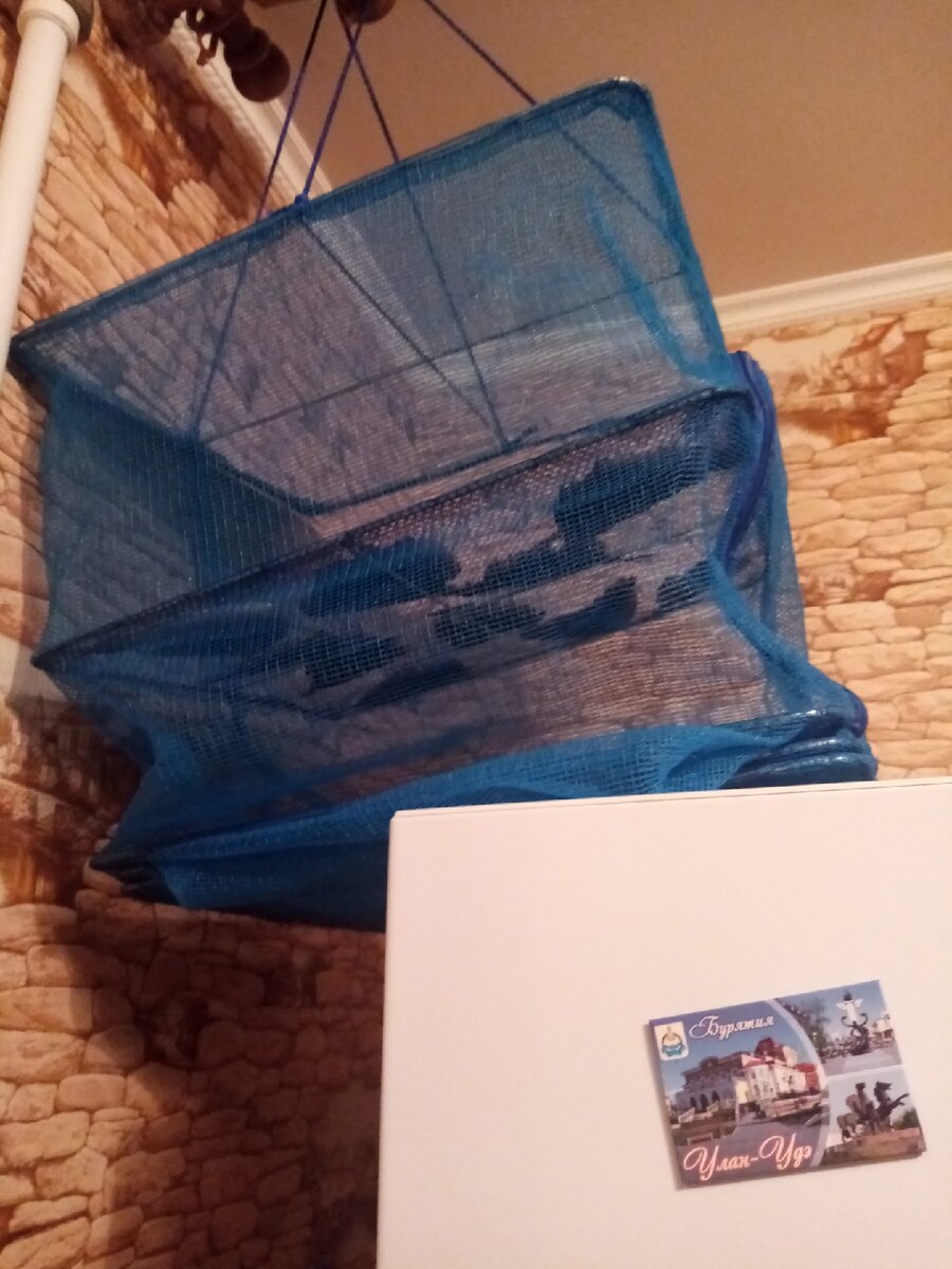                                                                            Рыба в сушилке