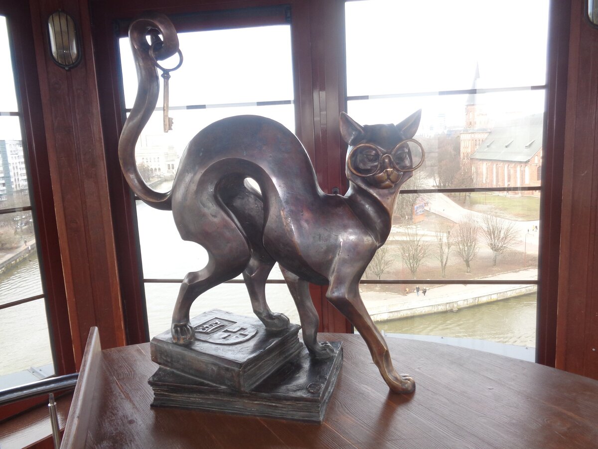 Учёный кот на Маяке в Рыбной деревне.