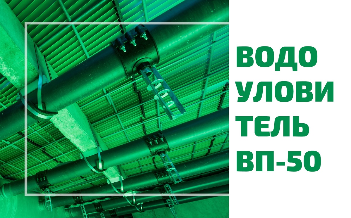 фото из личного архива 