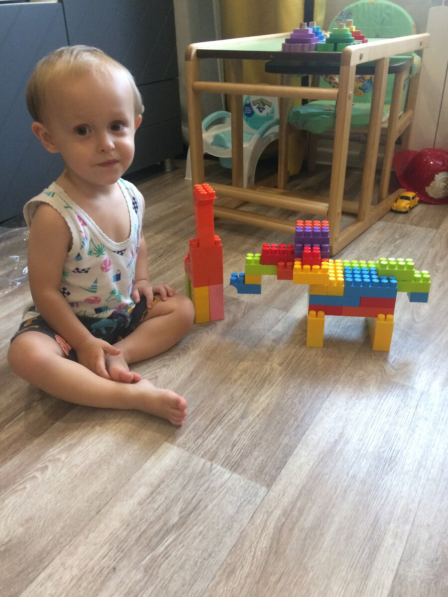 Построили жирафа и слона из конструктора.