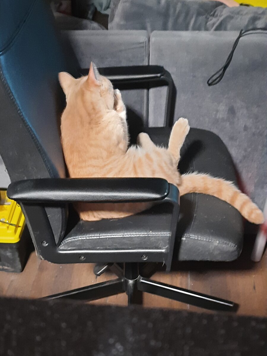 А сидит то как! Вылитый директор!))