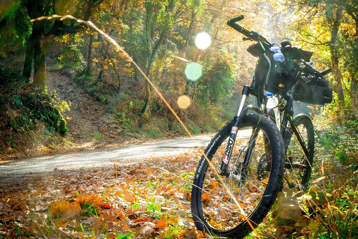 https://cdn.pixabay.com/photo/2017/10/12/22/12/cycling-2846201_1280.jpg