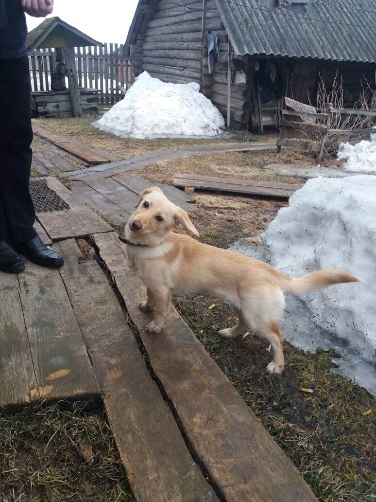 Джесси пока не знает, что ее ожидает