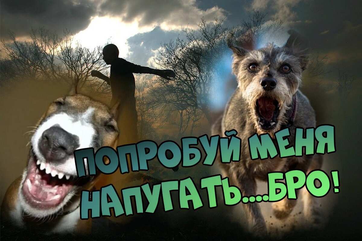 Авторский коллаж из фотографий из открытых источников. /Для создания настроения/