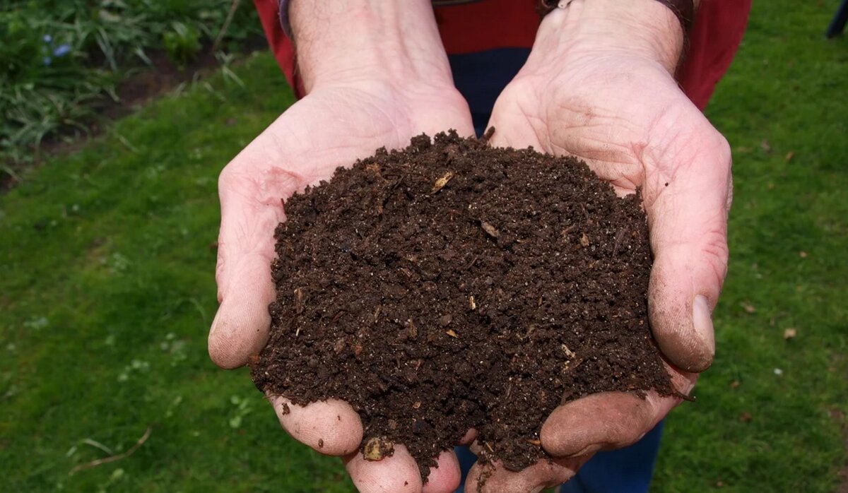Быстрый компост — отличное удобрение и никаких костров на участке