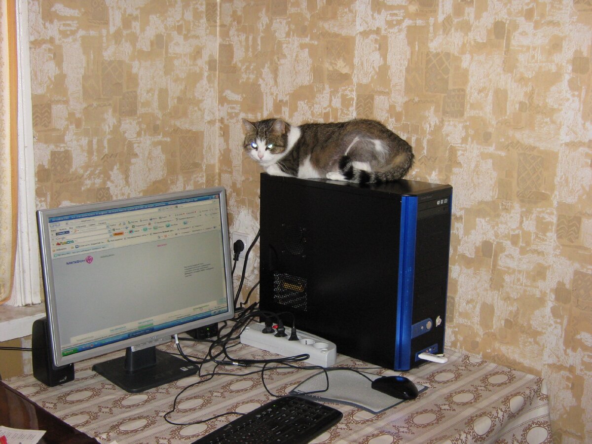 Системный блок самое высокое место на столе. Даже на хозяина можно смотреть свысока. Фото мое.