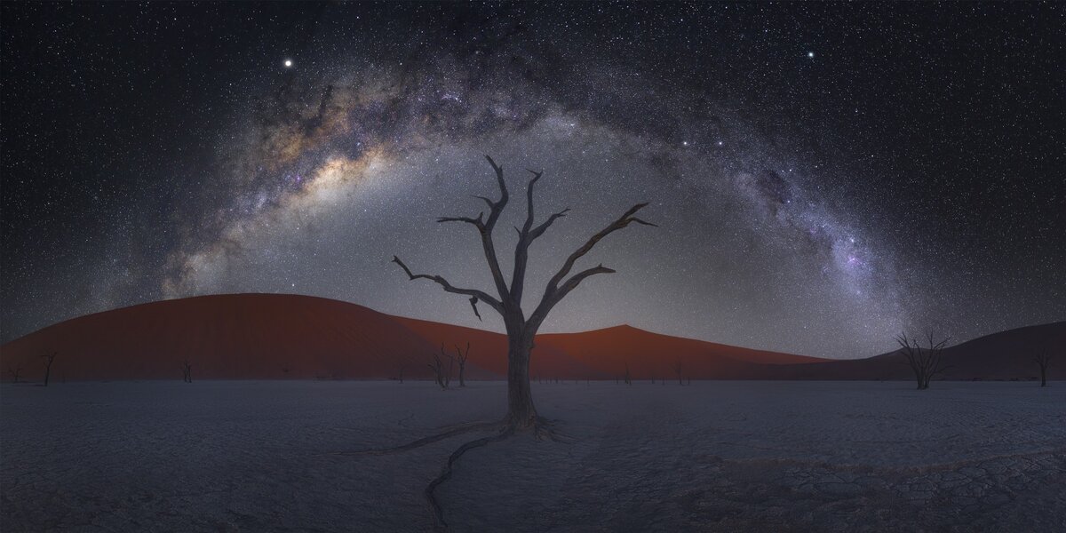 Изображение взято из открытого источника.