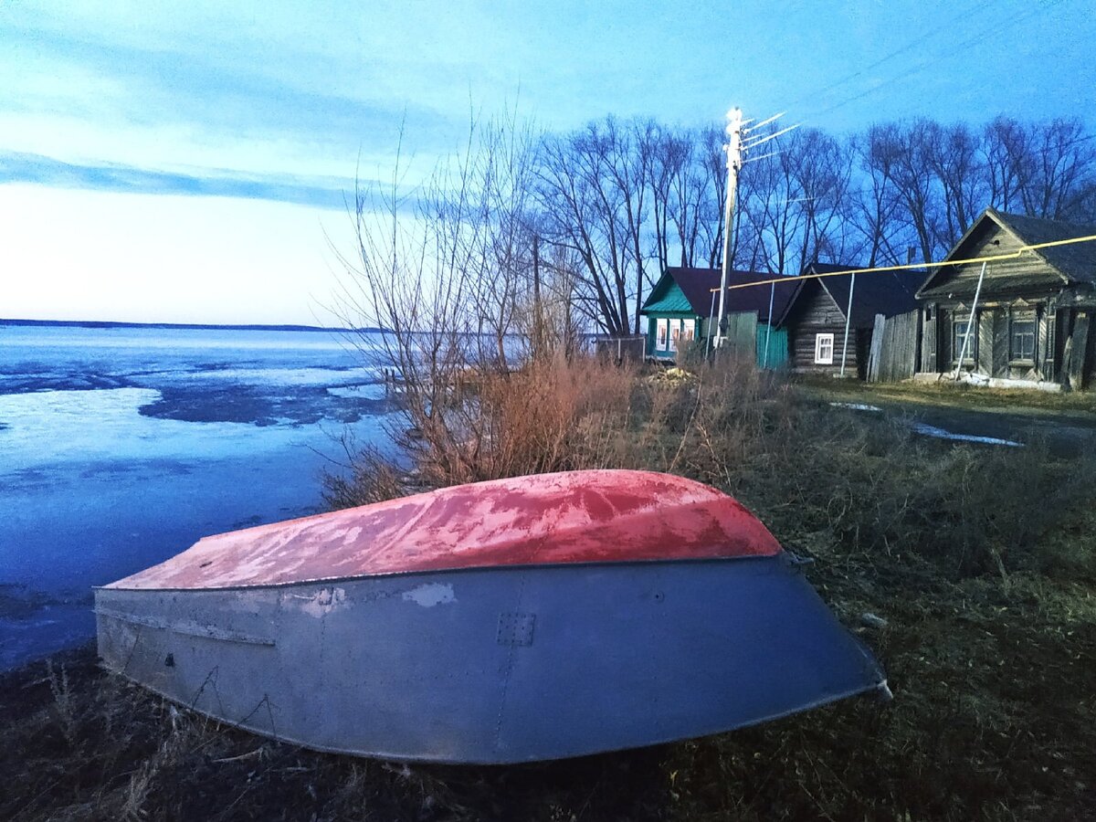 Ну так, я же деревенская — не то, что вы городские | Елена Халдина | Дзен