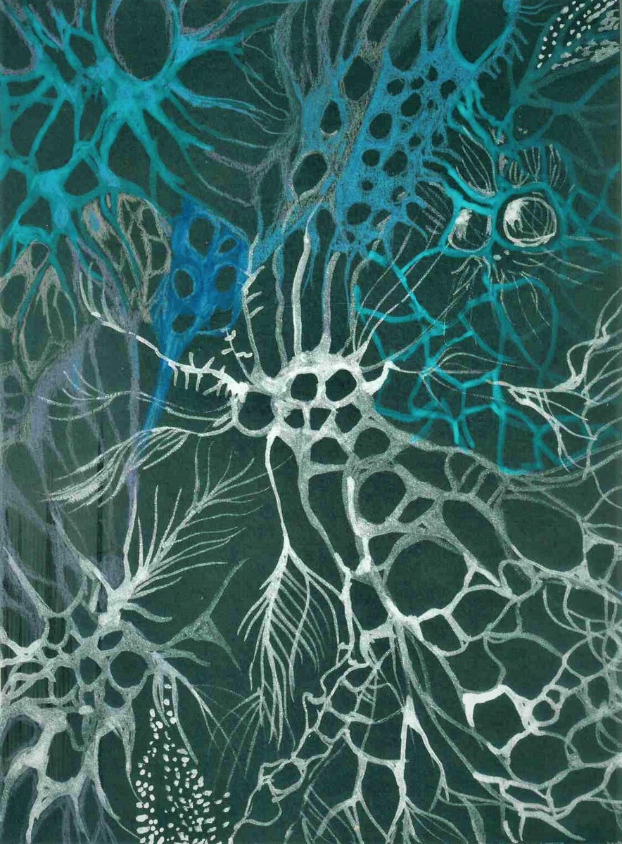 Рисунок автора