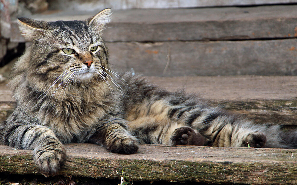 Фото автора. Снимок не имеет прямого отношения к истории, а лишь косвенно иллюстрирует публикацию.
