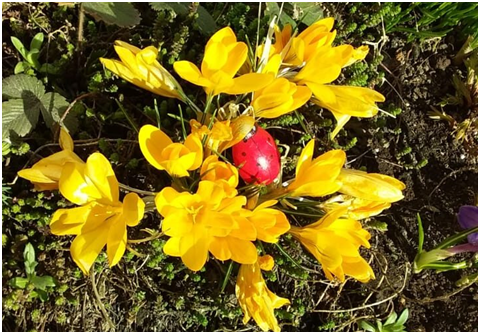 Ставьте лайки и подписывайтесь на мой канал