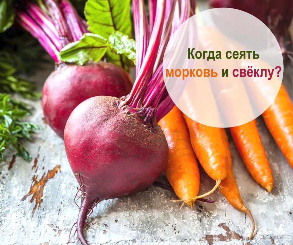 обработанное фото, взятое из интернета