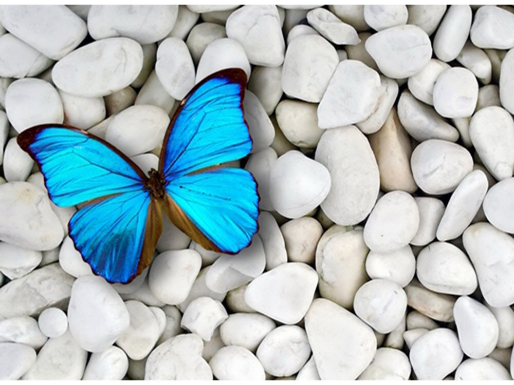 Считается, что вибрации камня почти идентичны вибрациям человека, и поэтому они могут оптимально стимулировать энергетические потоки в организме. Минералы являются древнейшими «обитателями» Земли, накопившими за несколько миллиардов лет в своих кристаллах огромное количество энергии. Энергообмен минералов с окружающей средой происходит постоянно. 
Литотерапия, в свою очередь, разветвляется на более узкие, специализированные отделы, такие, как:

минералотерапия
стоунтерапия
кристаллотерапия
астроминералогия

При контакте с камнем излучаемая им энергия влияет и на наше тело, клетки и ткани, создавая абсолютно неуловимые человеком вибрации. Причем в одних случаях они находятся в резонансе с нашим организмом, в других — наоборот. Поэтому важно правильно подобрать свой камень, чтобы он входил в биорезонанс с естественной энергетикой человеческого тела.В литотерапии для достижения максимального успеха очень важно, чтобы камень, во-первых, был подвергнут минимальной обработке, поскольку при огранке и шлифовке теряется до 80% целебных свойств.Во-вторых, поверхность камня должна быть максимально открыта. Если камень наглухо заключен в металлическую оправу, то он теряет большую часть своей силы.В-третьих, камень должен непосредственно соприкасаться с кожей, причем место соприкосновения тоже имеет значение и должно быть правильно выбрано (шея, уши, пальцы и т.д.)
.
ПРИМЕРЫ ИСПОЛЬЗОВАНИЯ ЛИТОТЕРАПИИ В ИСТОРИИ.

Целители Востока и Запада издавна полагали, что драгоценные и полудрагоценные камни являются концентраторами энергии, способной положительно влиять на человека. Ещё Плиний Старший писал о положительном влиянии камней при их созерцании и ношении. Теофраст (372 г. до н.э.), ученик Платона и последователь Аристотеля, свел воедино имевшиеся сведения и опыт минералогии в капитальном труде «О камнях».Кроме того:
Тибетские и монгольские ламы для приготовления лекарств использовали около 100 различных минералов. В своих практиках они применяли каменные пирамиды, шары, чётки и массажёры. Для энергетической зарядки воды и получения эликсира молодости и здоровья ламы использовали кристаллы из минералов группы кварца.
В китайской медицине, воздействуя камнями-биостимуляторами на биологически активные точки тела, выравнивали нарушенную в организме энергетику (Инь-Ян), повышали жизненную силу (Ци), снимали боли и лечили заболевания.
Йоги в своих практиках используют камни для укрепления здоровья и ауры, для ограждения от пагубных воздействий чужих отрицательных полей и излучений ("сглаз", "порча" и т.п.).
Индийские целители по системе АЮРВЕДА для оздоровления и омолаживания организма применяли камни при зарядке чакр – энергетических центров в теле человека.
В искусстве ФЭН-ШУЙ камни применяют для рассеивания негативной энергии и активизации позитивной.

Следует учитывать, что действия камня во многом определяется его чистотой и целостностью. Камни с трещинами, дефектами, пузырьками, мутными областями усиливают отрицательные качества. Для того, чтоб эффект от камня или минерала был ощутимым, необходимо обращать внимание на выбор того или иного камня. Следует иметь в виду и то, как камень попал к владельцу. Краденые камни способны принести огромные несчастья. Если камень куплен, то входит в силу он лишь спустя несколько лет. Быстрее всего камень проявит свои свойства, если его Вам подарили или он перешел в наследство.

КАК ВЫБРАТЬ КАМЕНЬ ДЛЯ ЛИТОТЕРАПИИ?

Выбирайте те камни, которые вам инстинктивно нравятся. Считается, что язык драгоценностей и камней — это язык чувств. Ваш камень именно тот, к которому бы вы хотели прикоснуться, хотели бы носить, такого цвета, формы, которая стимулирует в вас реакцию, потребность взять его в руки.
Только определенный камень может дать вам энергию, повлиять на то, что происходит в вашей жизни в определенный отрезок времени. Но в следующем году все может полностью измениться. Сегодня вас привлекает зеленый камень, потому что вы нуждаетесь в покое, равновесии. Через неделю вам поможет камень оживляющего красного цвета. Когда камень выполнит свою «работу», необходимо поблагодарить его. Не жалейте, можете одолжить его или подарить кому-нибудь, кто в нем сейчас нуждается.При выборе камня попытайтесь ощутить его энергию своими руками. Для этого подержите ваши ладони горизонтально над разными камнями некоторое время и попробуйте ощутить отличие в их «вибрации». Можно также потрясти руками, чтобы возбудить в камнях природные электрические заряды. Прежде всего доверяйте своей инстинктивной реакции. Только когда камень будет вызывать в вас одобрение, вы как бы услышите его отклик, возьмите его себе. И он будет более ценным для вас, чем тот, который вы выберете, следуя чужим советам.Также для выбора камня для литотерапии вы можете воспользоваться биолокацией.
