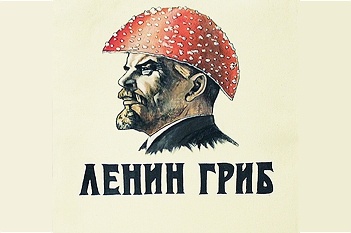 арт с сайта: https://memepedia.ru/lenin-grib/