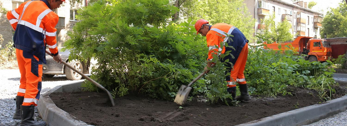 Фото: nsknews.info