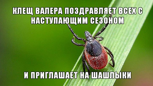 Арт-Объект: последние новости на сегодня, самые свежие сведения УФА1.ру - новост