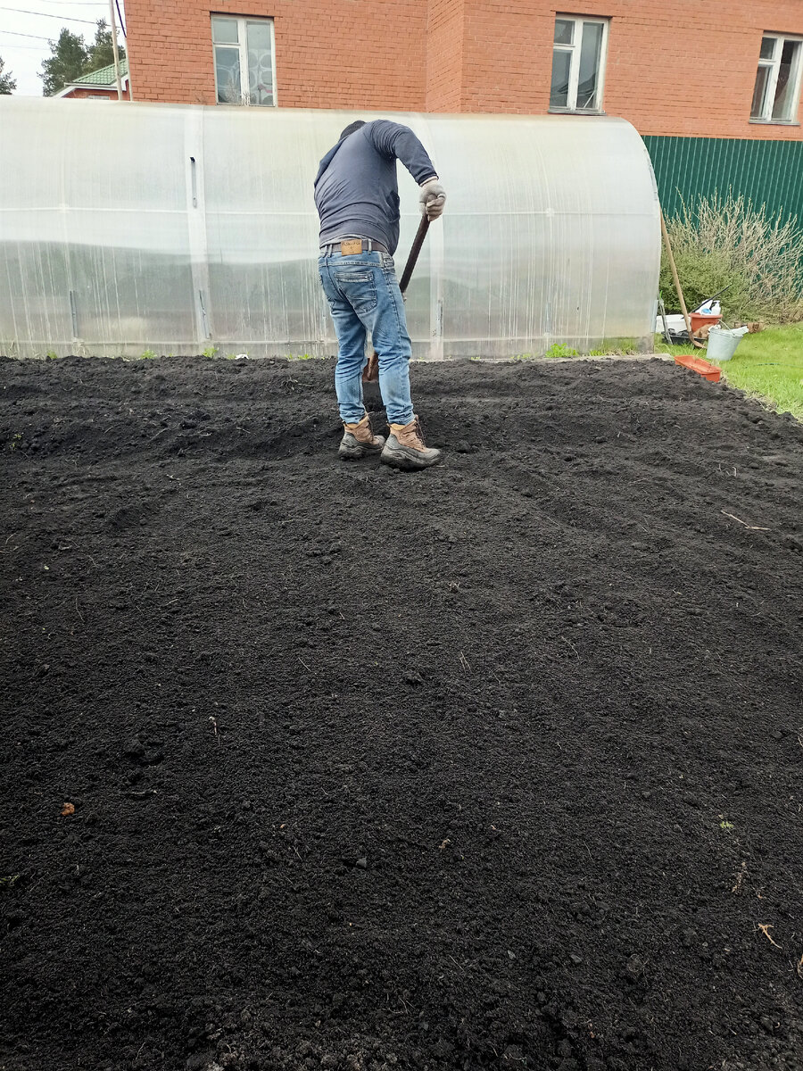 Быстро работает и качественно