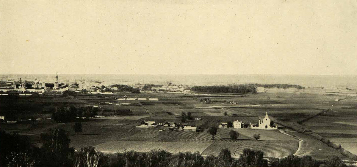Воробьевы горы старые фото