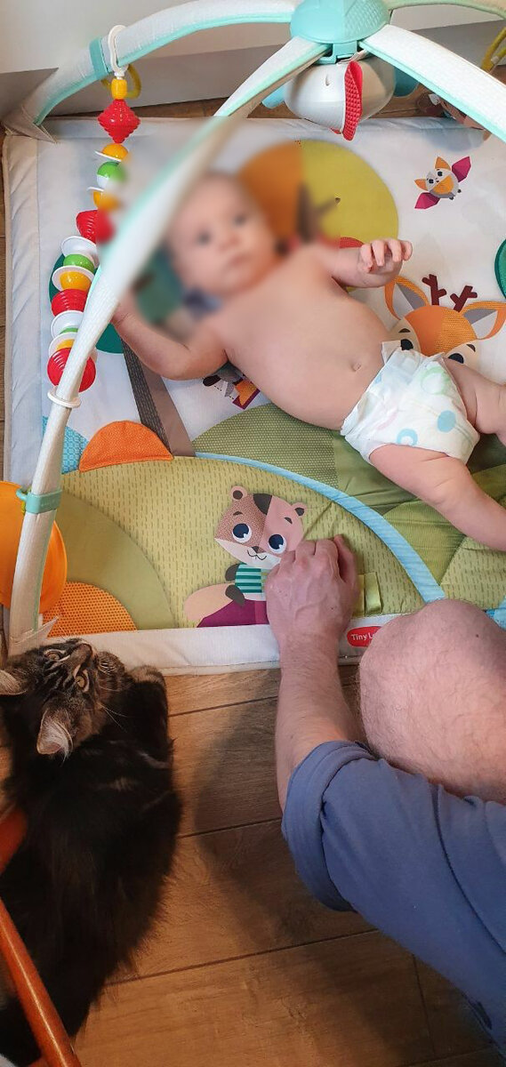 И тут наблюдает, присматривается.