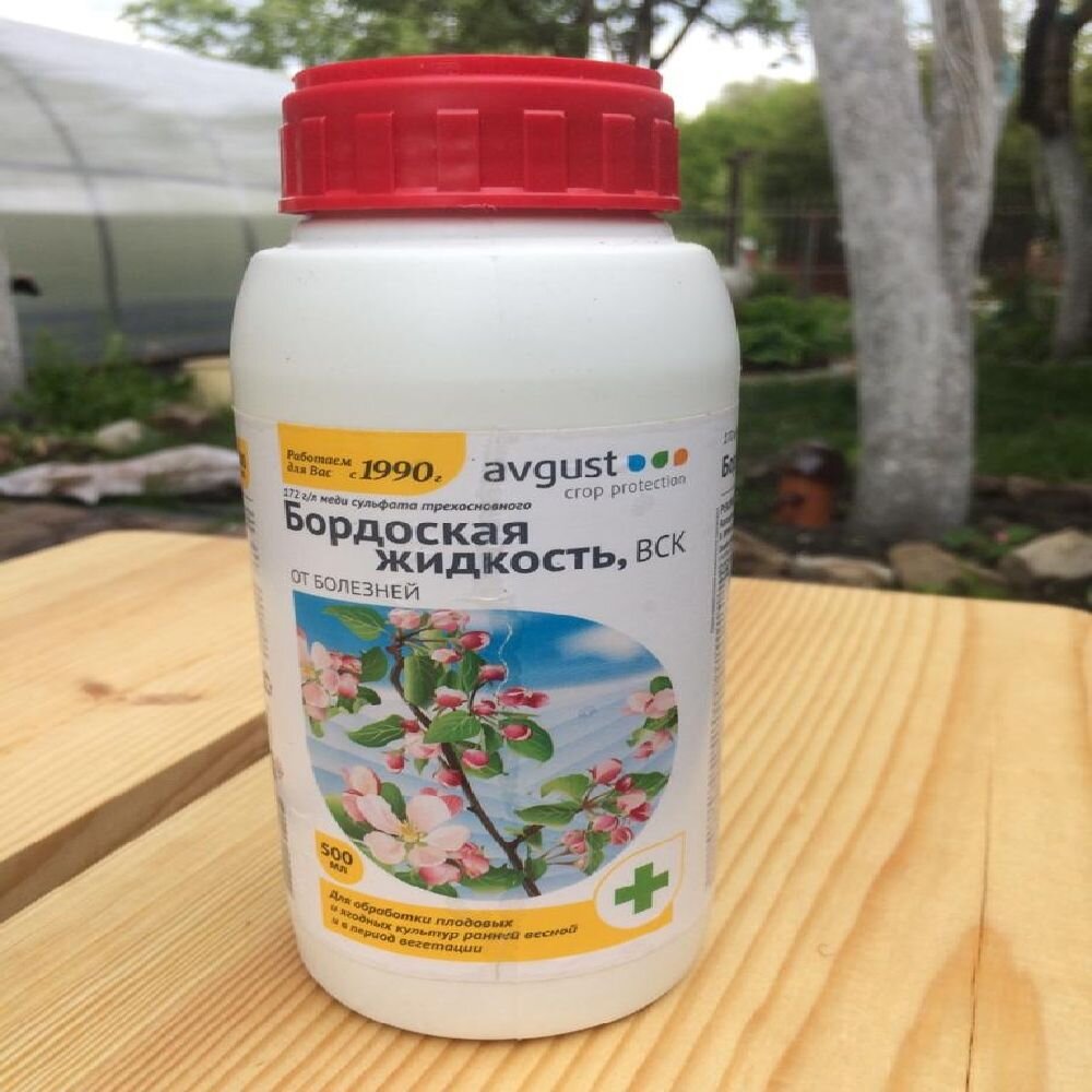Что опрыскивают бордосской жидкостью весной. Можно ли обрабатывать бордосской жидкостью. Бордосская жидкость на деревьях. Бордоская жидкость 100 мл. Бордосская жидкость и медный купорос.