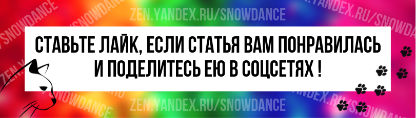 Глажу кота возле хвоста, он попу поднимает. Почему? Кастрированый. - Советчица