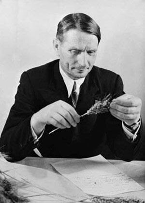  Некоторых не сажали за колосок, и очень зря.