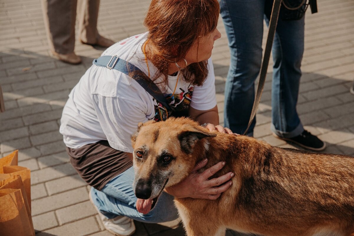 Старичок Ганди