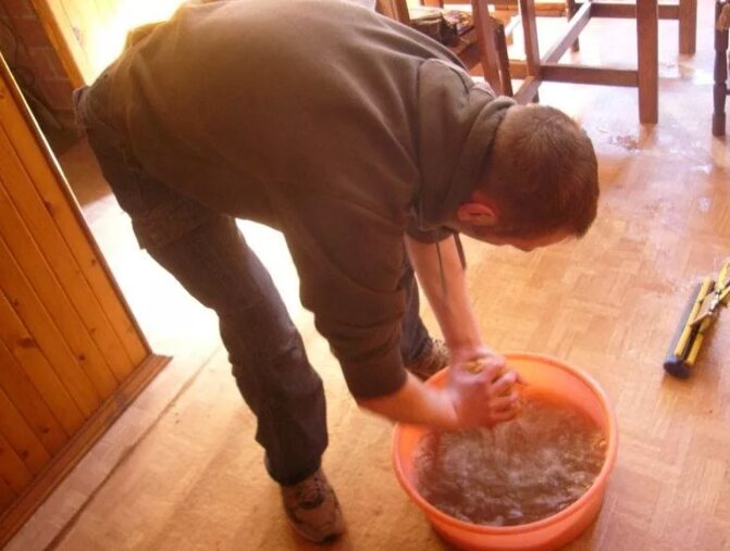 Источник яндекс картинки