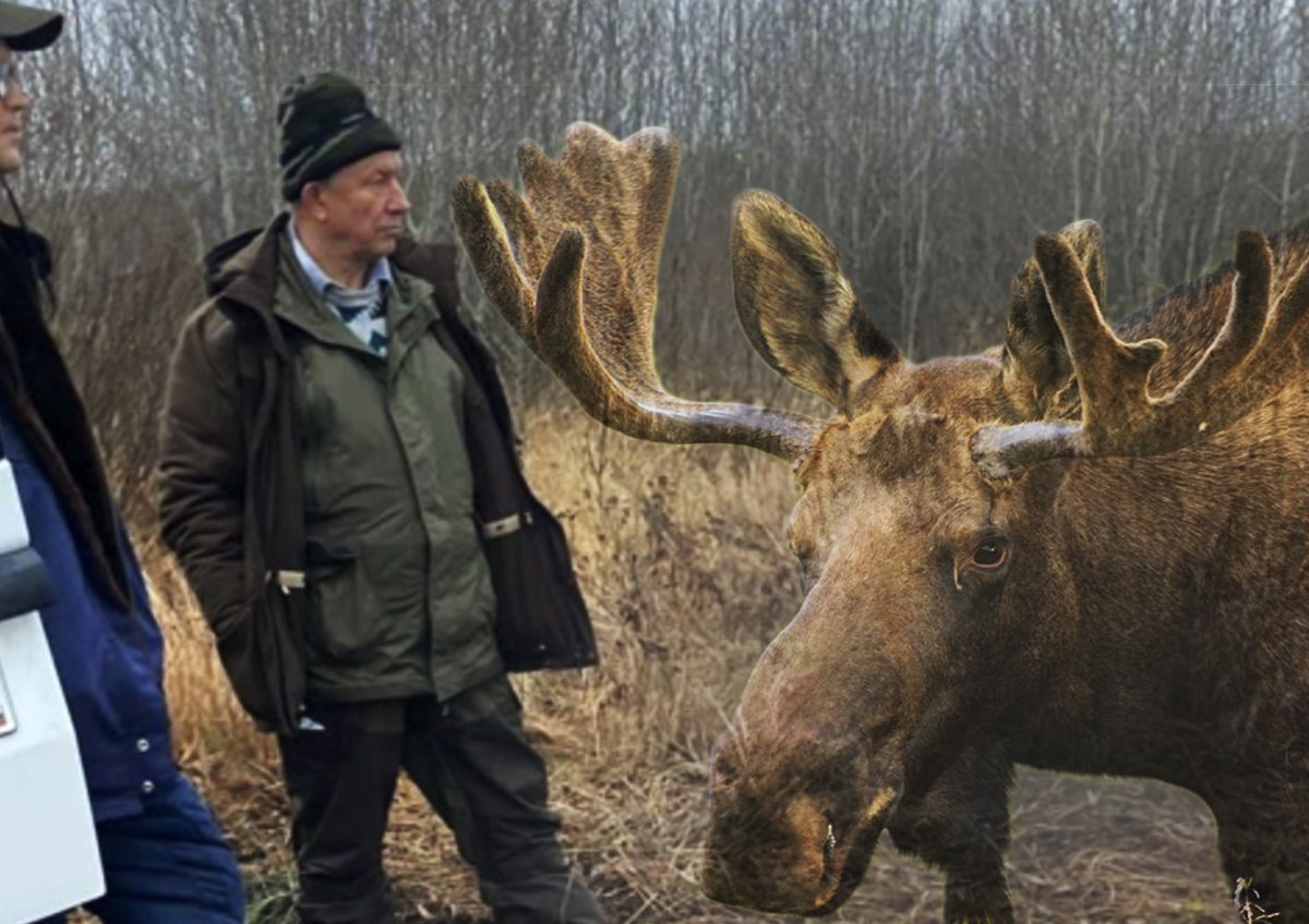 Добавьте описание