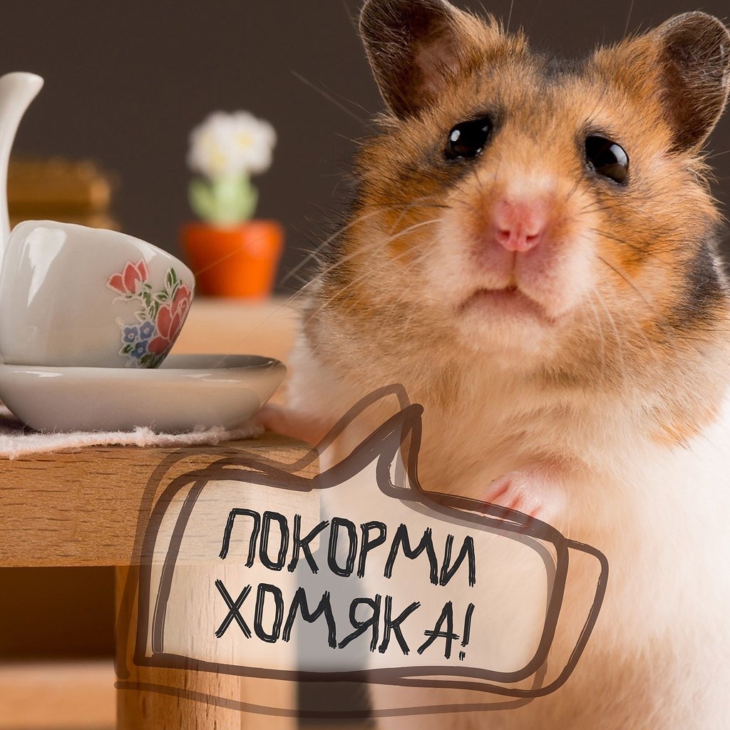 Взято из интернета